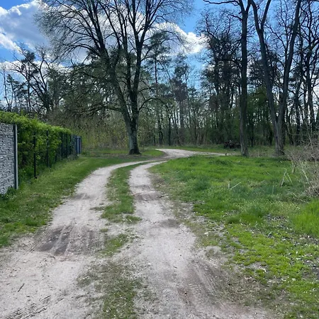 Siedlisko Mokra - Lesniczowka Pod Jaworem